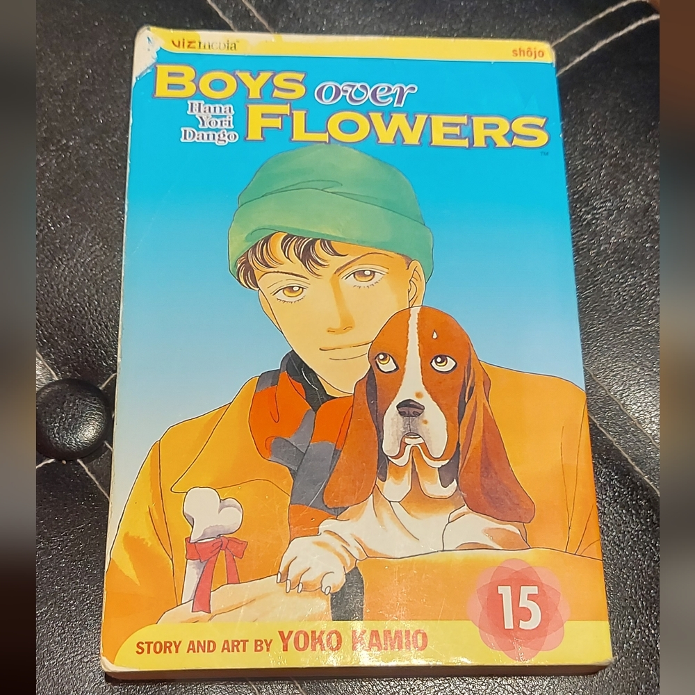 Boys Over Flowers vol. 15